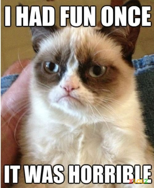 I had fun once - grumpy cat