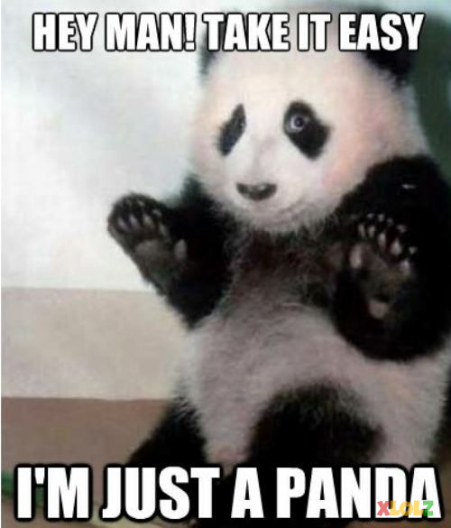I’m just a panda